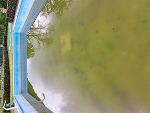 Nettoyage de piscine